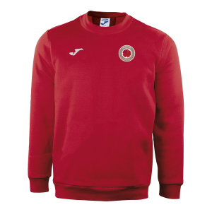 Sudadera Entrenamiento Goierrigorri
